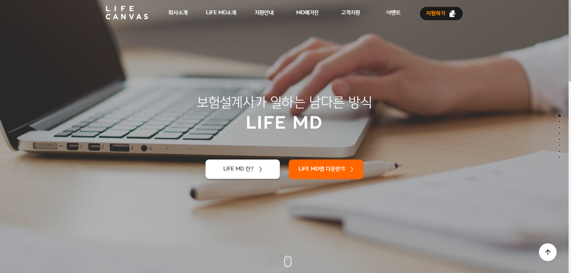 lifeCanvasImage